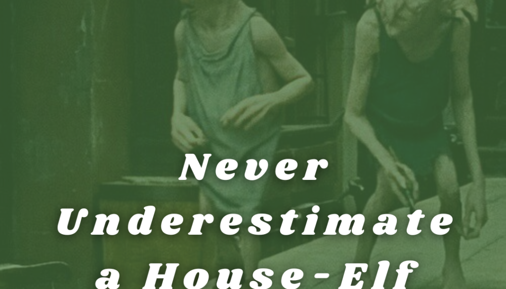 Never Underestimate a House-Elf
