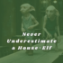 Never Underestimate a House-Elf