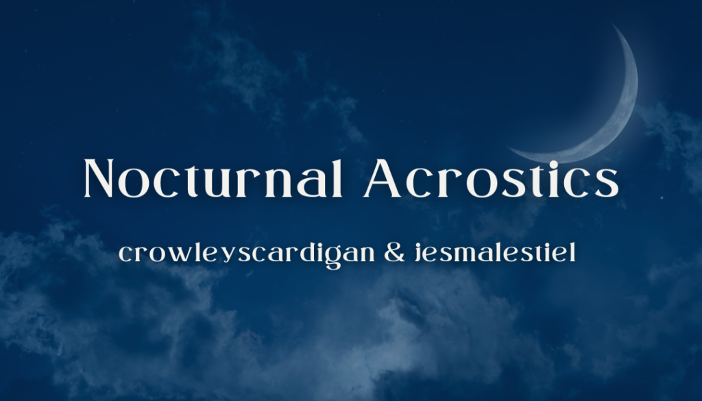 Nocturnal Acrostics